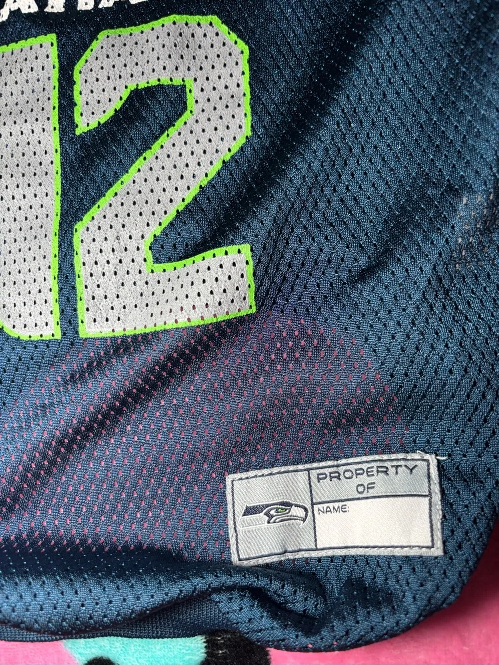 Seattle Seahawks pet jersey